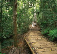 Lake Barrine Circuit Track Crater Lakes National Park - Mackay Tourism