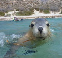 Calypso Star Charters - Mackay Tourism