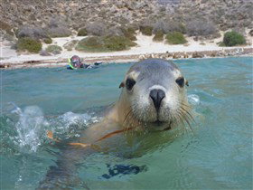 Calypso Star Charters - Mackay Tourism 0