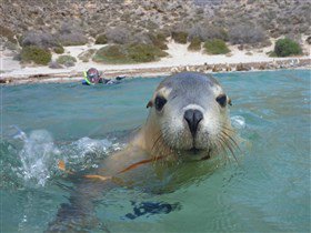 Calypso Star Charters - Mackay Tourism 2