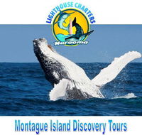 Lighthouse Charters Narooma - Mackay Tourism