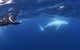Sunreef Mooloolaba - thumb 5