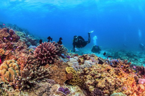 Sunreef Mooloolaba - Mackay Tourism 8