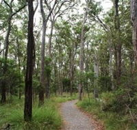 Caboolture Regional Environment Education Centre - Walking Trails - Mackay Tourism