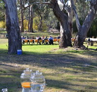 Glendale Citrus  Hazelnut Orchard - Mackay Tourism