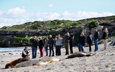 Kangaroo Island Odysseys - Mackay Tourism 27