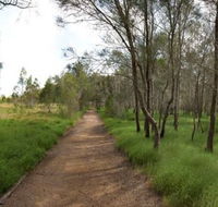 Billai dhagun Circuit Place of She-Oaks - Mackay Tourism