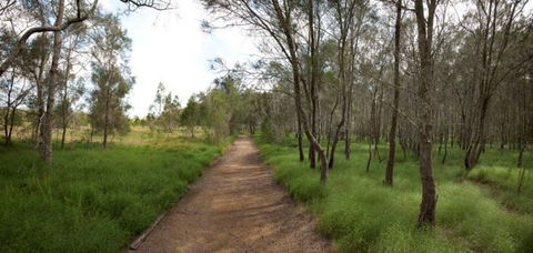 Billai Dhagun Circuit (Place Of She-Oaks) - Mackay Tourism 0