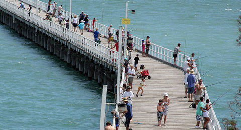 Fraser Coast Amazing Fishing Trails - Mackay Tourism 27