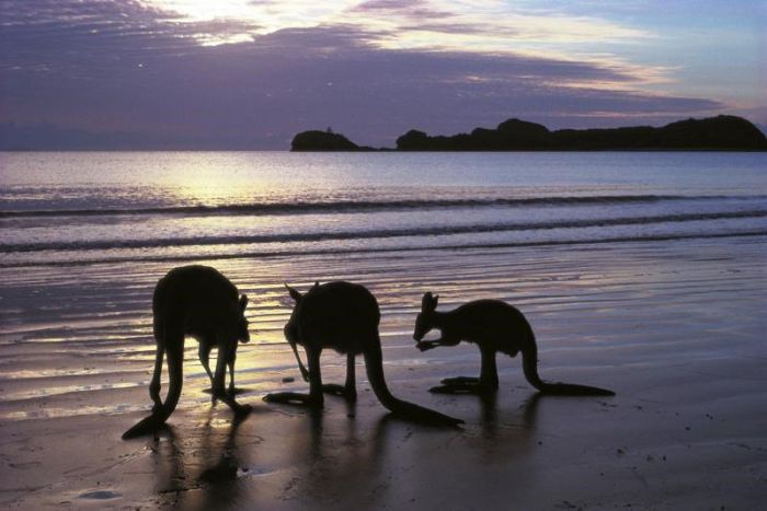 Seaforth QLD Mackay Tourism