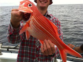 Goin' Off Safaris - Mackay Tourism 1