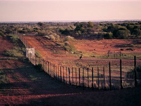 Tri State Safaris - Mackay Tourism 0