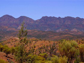 Tri State Safaris - Mackay Tourism 17