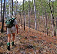Shepherd's Peak Trail - Mackay Tourism