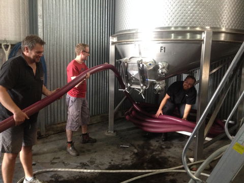 La Prova Wines - Mackay Tourism 2