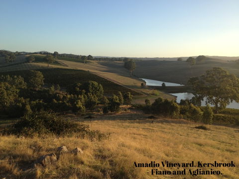 La Prova Wines - Mackay Tourism 3