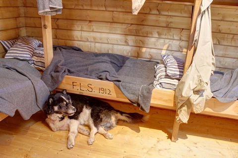 Mawson's Huts Replica Museum - Mackay Tourism 7