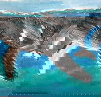 Kaz Art-Whitewash Gallery - Mackay Tourism