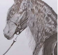 Great Lakes Art Society - Mackay Tourism