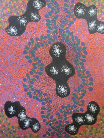 Ali Curung NT Mackay Tourism