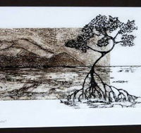Douglas Arts Inc - Mackay Tourism
