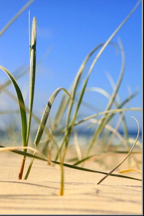 Coastal Visions Photography - Mackay Tourism 1