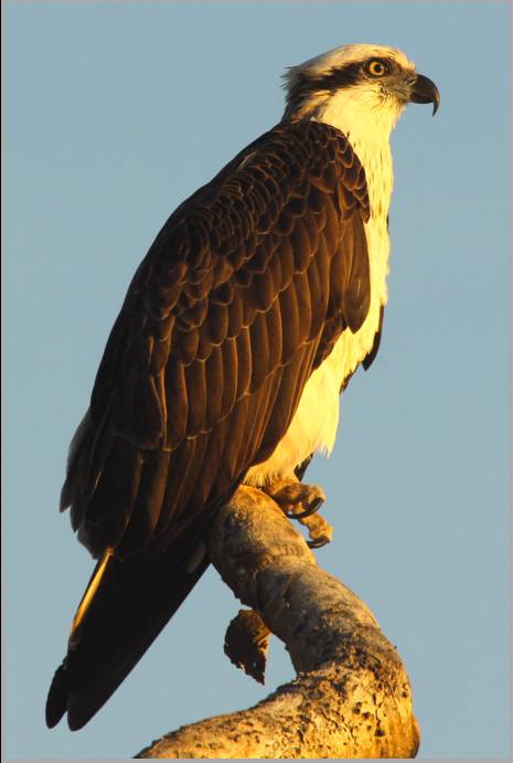 Coastal Visions Photography - Mackay Tourism 2