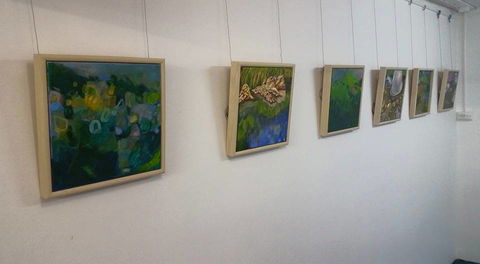 Art Arena Gallery Inc - Mackay Tourism 2
