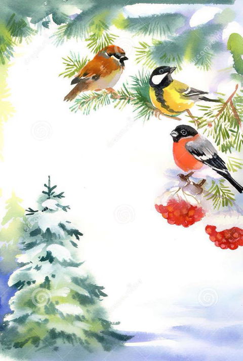 Two Birds Gallery - Mackay Tourism 2