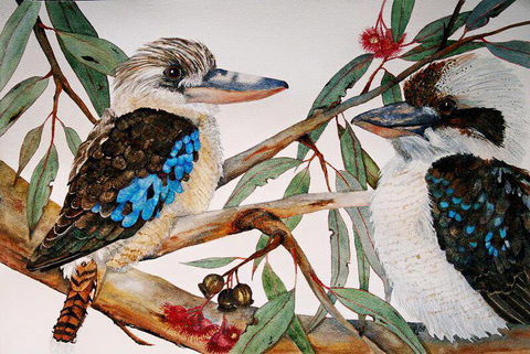 Two Birds Gallery - Mackay Tourism 3