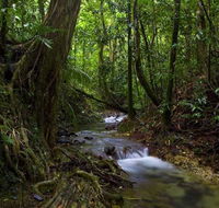 Trek North - Mackay Tourism