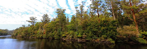 A R Reflections River Cruises - Mackay Tourism 0