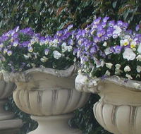 Gardenalia Open Garden and Rare Plant Nursery - Mackay Tourism