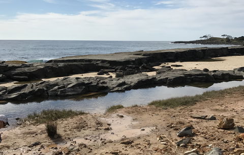 Yamba Tours And Charters - Mackay Tourism 0
