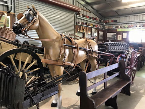 Yamba Tours And Charters - Mackay Tourism 9