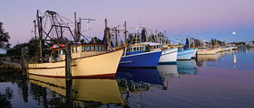 Yamba Tours And Charters - Mackay Tourism 14