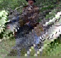 AAA Horse Riding  More - Mackay Tourism