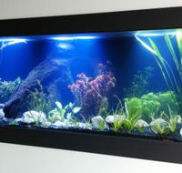 Aquariums in Cairns - Mackay Tourism