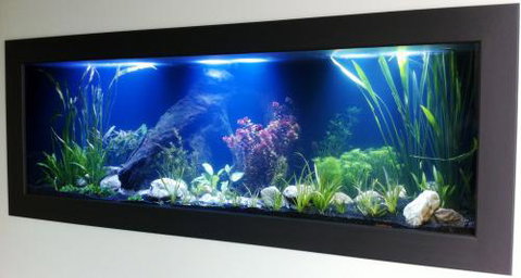Aquariums In Cairns - Mackay Tourism 0