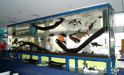 Aquariums In Cairns - Mackay Tourism 2