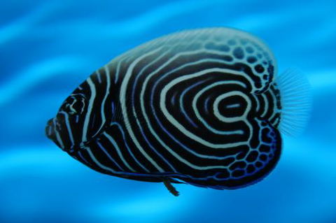 River To Reef Aquarium - Mackay Tourism 2