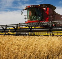 Quirindi Grain and produce - Mackay Tourism