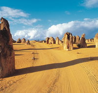 Pinnacles Desert Koalas and Sandboarding 4WD Day Tour from Perth - Mackay Tourism