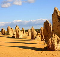 Pinnacles and Yanchep National Park Day Trip from Perth Including Lobster Shack Lunch and Sandboarding - Mackay Tourism