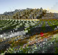 Margaret River Caves Wine and Cape Leeuwin Lighthouse Tour from Perth - Mackay Tourism