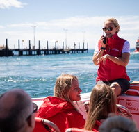 Rottnest Island Tour from Perth or Fremantle including Adventure Speed Boat Ride - Mackay Tourism