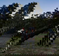 Stargazing Busselton with Mobile Observatory - Mackay Tourism