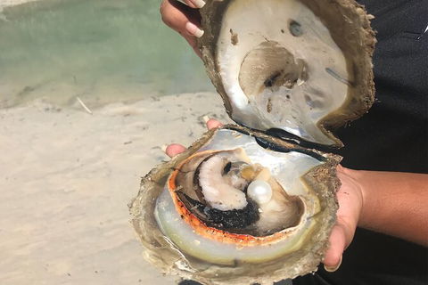 Willie Creek Pearl Farm Tour From Broome - Mackay Tourism 6