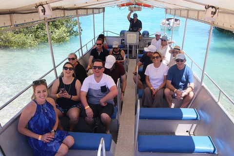 Willie Creek Pearl Farm Tour From Broome - Mackay Tourism 3