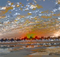 Broome City Sightseeing Tour with Optional Camel Ride - Mackay Tourism